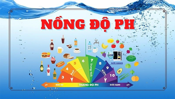 <p style="text-align: center;"><strong>Cân bằng pH cơ thể</strong></p>